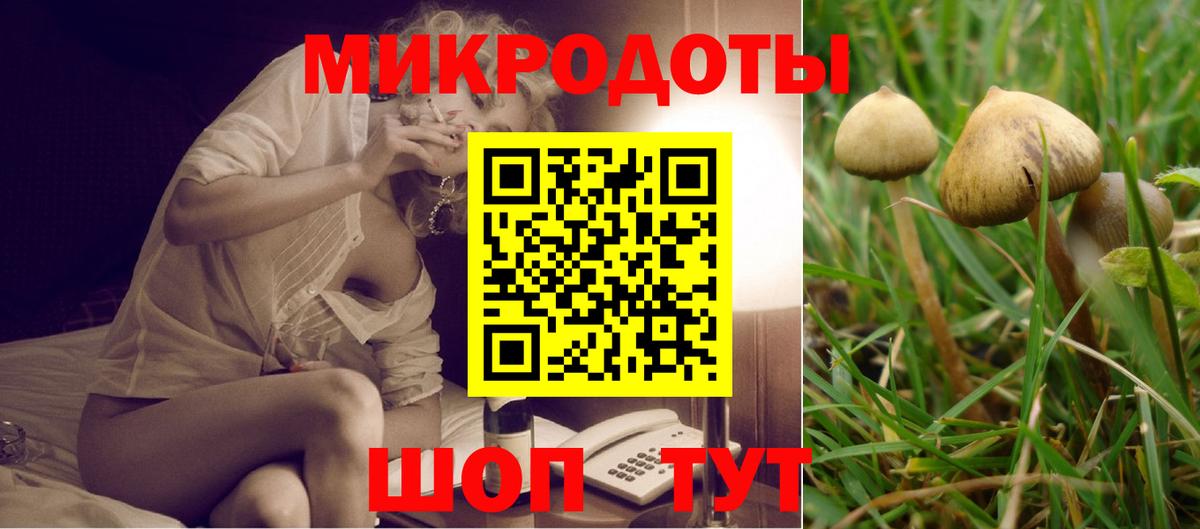 Галлюциногенные грибы GOLDEN TEACHER Котлас