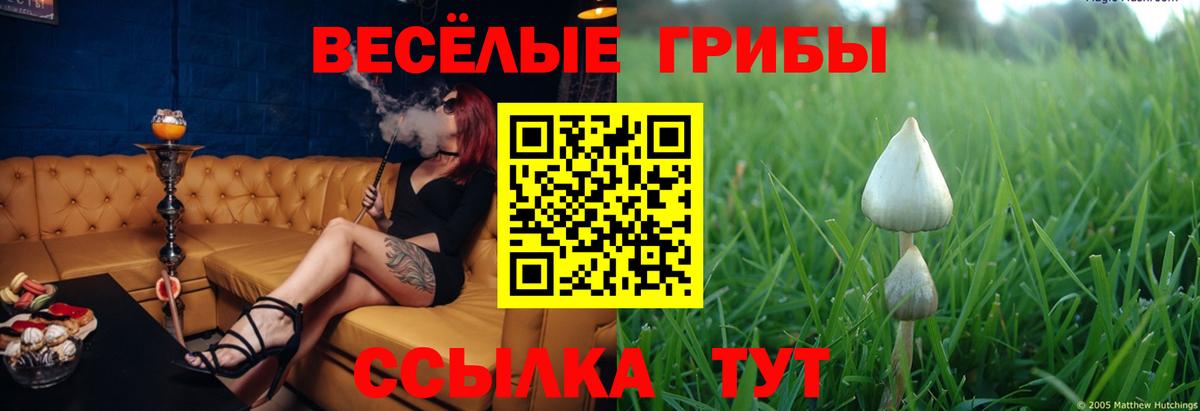 Котлас  Галлюциногенные грибы ЛСД  Вход с VPN 