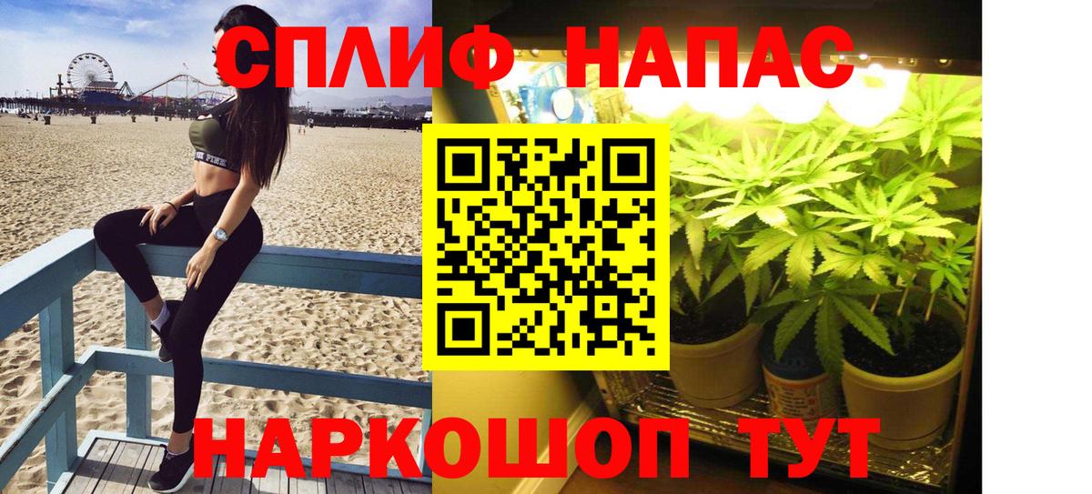 Бошки марихуана THC 21% Котлас
